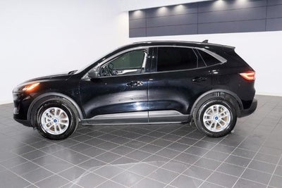 2022 Ford Escape SE Hybrid